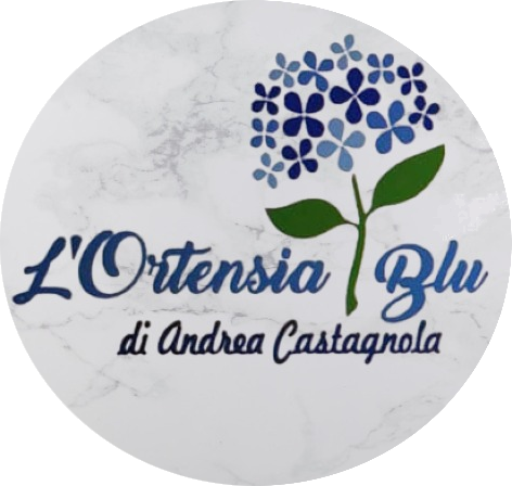 L'Ortensia Blu